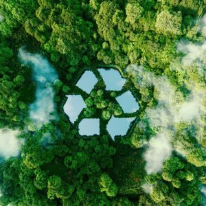 Brown Recycling Limited