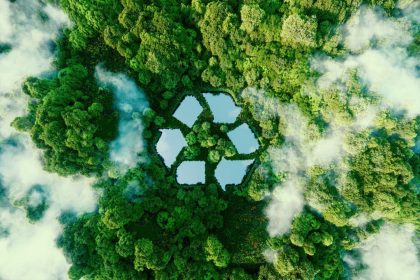 Want to find out more about our sustainability services?