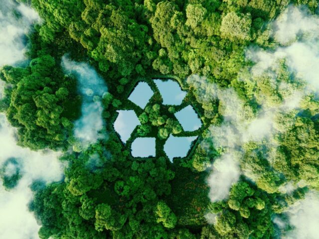 Brown Recycling Limited
