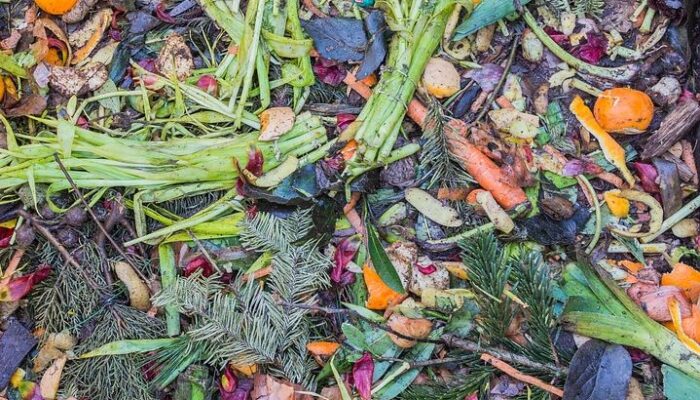 How Businesses Can Manage Food Waste