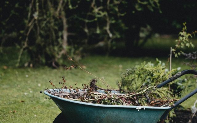 Green garden waste in a wheelbarrow in a back garden - Brown Recycling