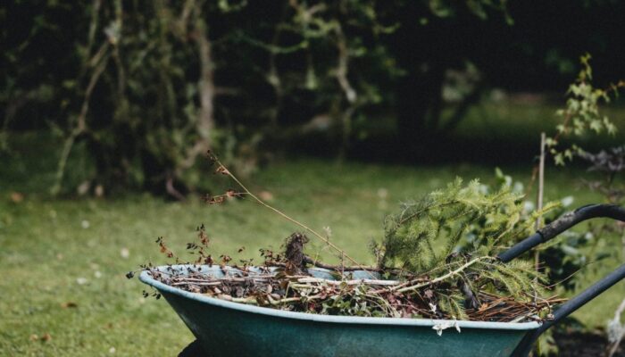 Green garden waste in a wheelbarrow in a back garden - Brown Recycling