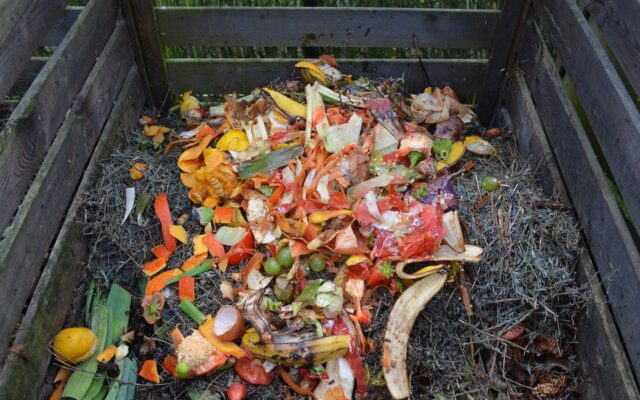 Compost