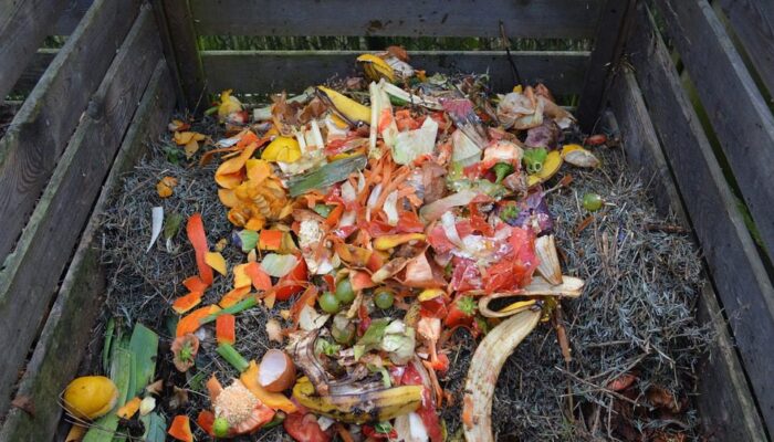 Compost