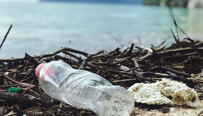 What Is Waste Crime and How Can We Tackle It?