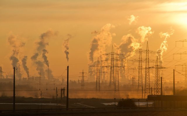 How Waste Damages the Environment