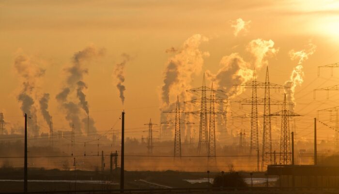 How Waste Damages the Environment