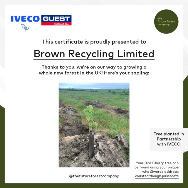 IVECO - Plant a Tree initiative