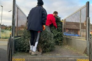 christmas tree collection- Brown Recycling
