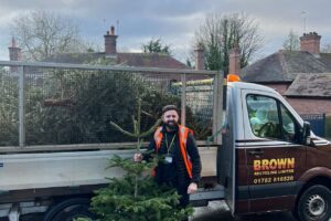 Brown Recycling tree