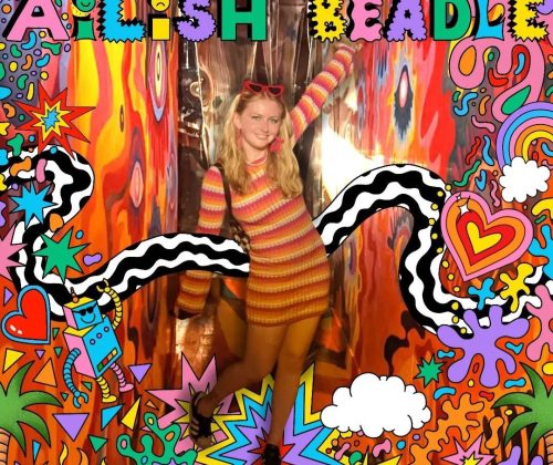 ailish - skip artist