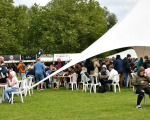 hundreds of people at stone food fest