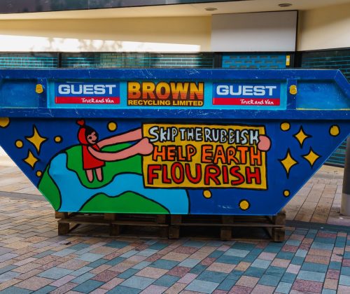 skip the rubbish help earth flourish skip art design