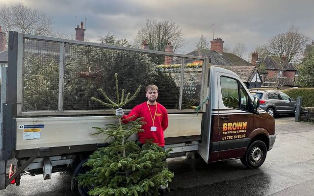 dougie mac christmas tree collection from 2023