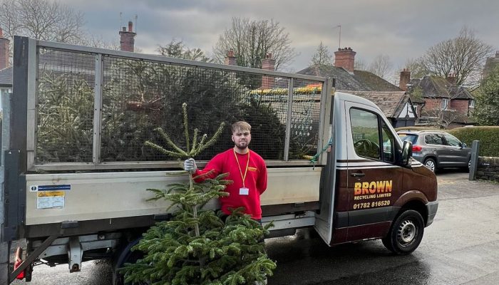 dougie mac christmas tree collection from 2023