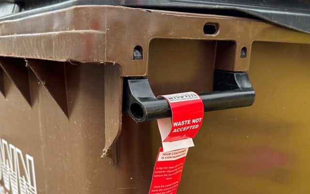 sorting business recycling into the correct bin - Brown recycling