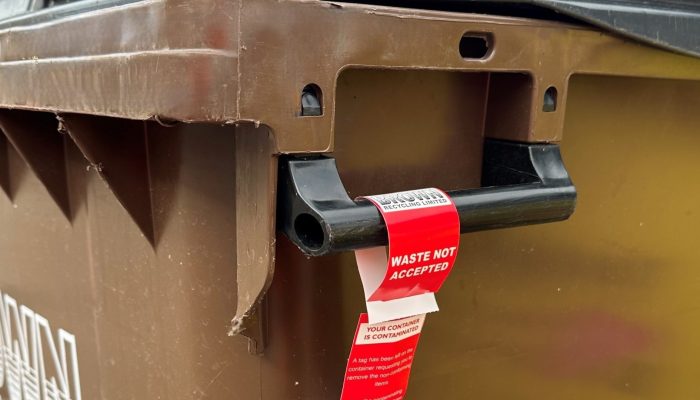 sorting business recycling into the correct bin - Brown recycling